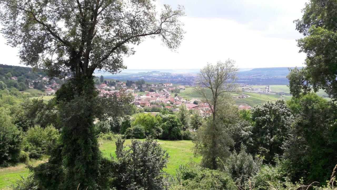 Le Logis Du Vendangeur Champillon Exterior foto